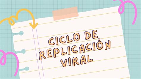 Ciclo de Replicación viral Edith Duarte uDocz