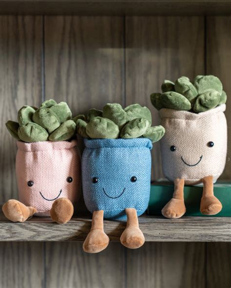 Succulent Plushie Plantvine