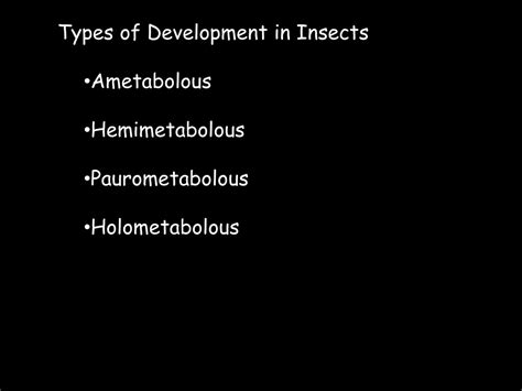 PPT - Myriapods and Insects CH 14 Subphylum Mandibulata (continued from ...