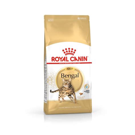 Royal Canin Bengal Adult karma sucha dla dorosłych kotów rasy