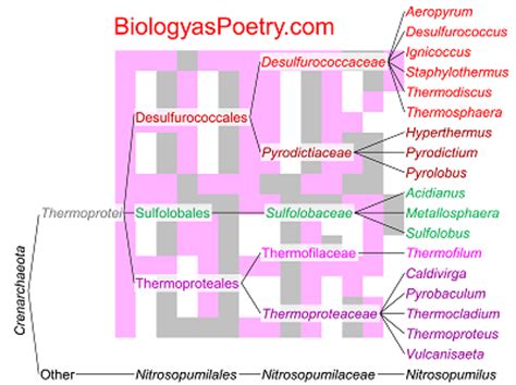 Crenarchaeota - Biology As Poetry