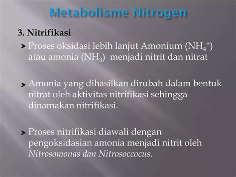 Metabolisme Nitrogenpptx Amrul Ppt