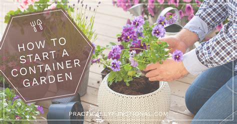 8 Steps To Start Easy Container Gardening On Any Patio Or Porch