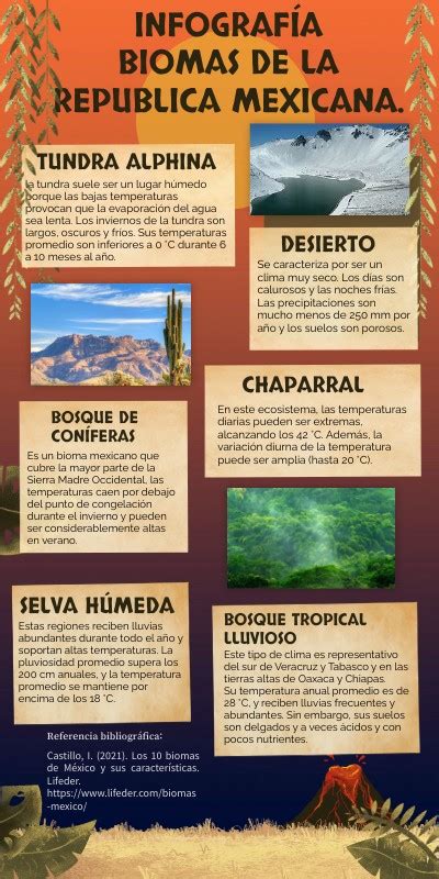 Infograf A Biomas De La Republica Mexicana