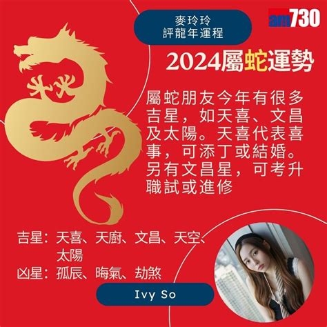 農曆新年2024｜麥玲玲運程預測 屬龍、蛇、馬、羊龍年運勢 屬龍雙重犯太歲 屬蛇多吉星 Am730