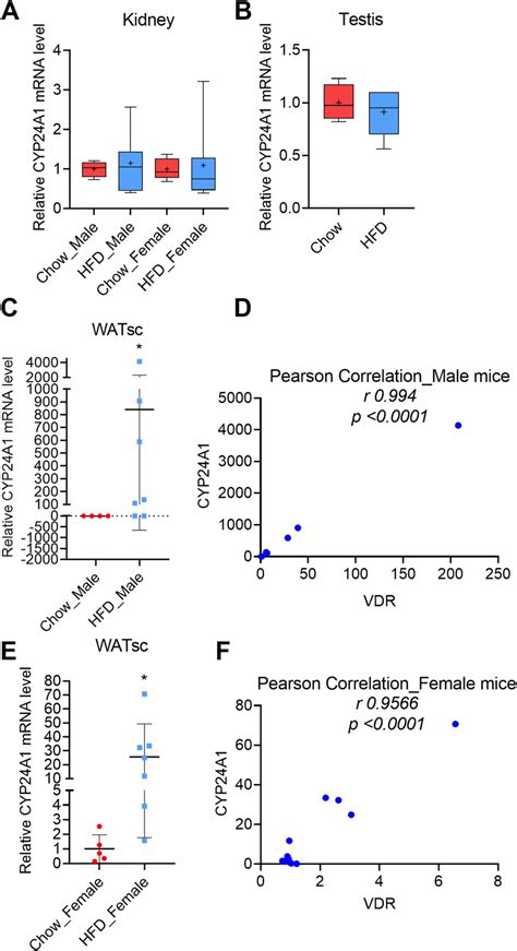 Effect Of High‐fat‐diet Hfd‐ Induced Obesity On Cyp24a1 In The