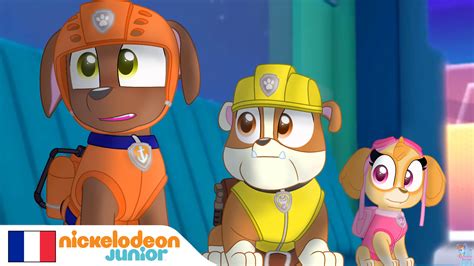 Nickelodeon France Paw Patrol Zuma Rubble Et Skye By Rainboweeveede On