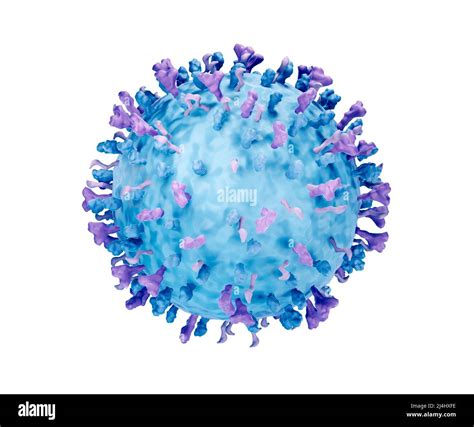 Virus Respiratoire Syncytial Vrs Illustration Photo Stock Alamy