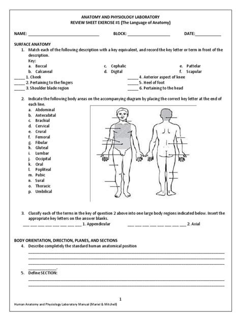 1 3 Directional Terms Biology Libretexts Worksheets Library