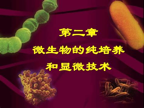 第2章 微生物的纯培养和显微技术word文档在线阅读与下载无忧文档