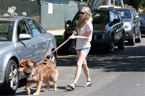 Amanda Seyfried Cleavy And Leggy Wearing Top And Denim Shorts While Walking Her Porn Pictures