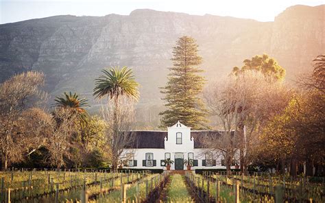 South African Wineries Atelier Yuwa Ciao Jp