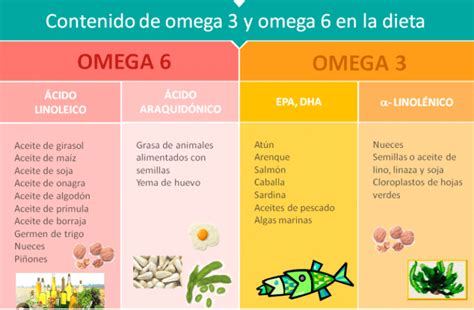 Qué son los ácidos grasos Clasificación y beneficios