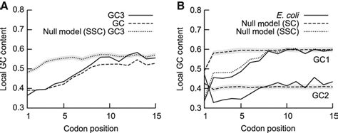 GC content at the beginning of genes in E. coli. (A) GC content (dashed... | Download Scientific ...