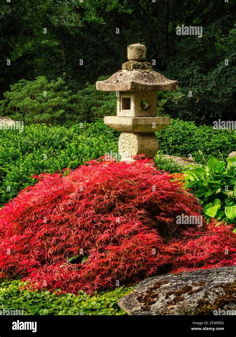 The Japanese Garden in the Botanical Garden, Augsburg Stock Photo - Alamy