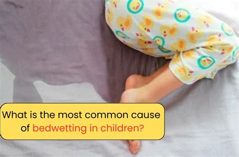 What Is The Most Common Cause Of Bedwetting In Children Drkale