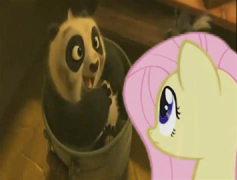 Safe Fluttershy Bear Panda Pegasus Pony G Crossover