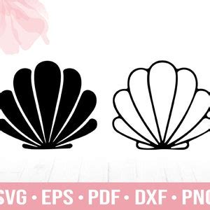 Seashell Svg Sea Shell Cricut Cut File Silhouette Digital Etsy