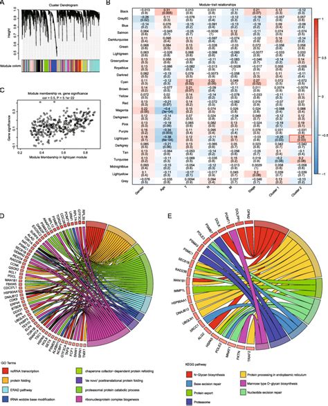 Hub Genes Identified By Wgcna Co Expression Analysis A Gene