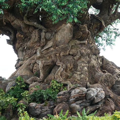 He Tree Of Life At Animal Kingdom At Walt Disney World In Orlando