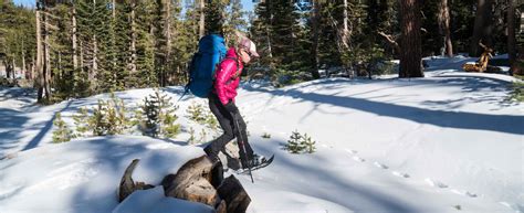 Yosemite Snowshoeing Camping — International Alpine Guides