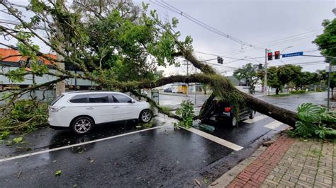 Chuva Acompanhada De Granizo Derruba árvores Em Várias Regiões De São