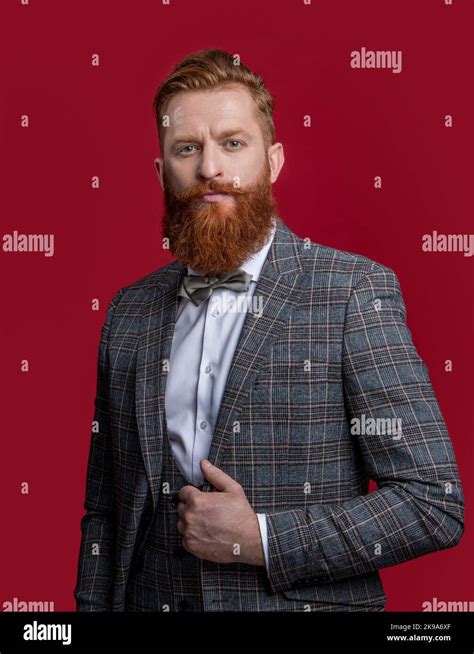 Charismatic Man In Tux Bowtie Studio Shot Of Man Wearing Bowtie And