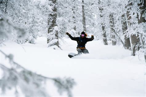 Canadian Freebies, Coupons, Deals, Bargains, Flyers, Contests Canada