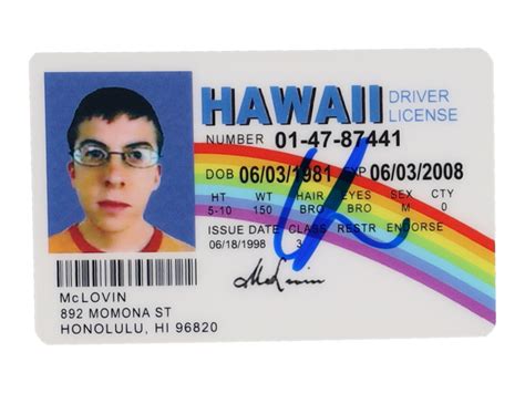 Christopher Mintz-Plasse Signed "Superbad" McLovin Drivers License ...