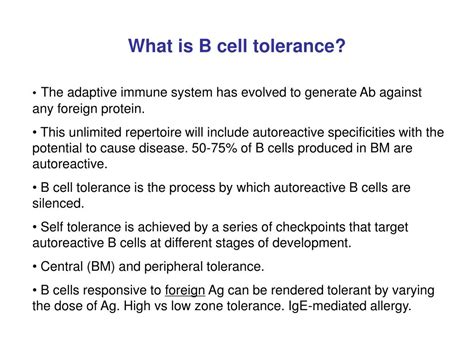 Ppt B Cell Tolerance Powerpoint Presentation Free Download Id3308986