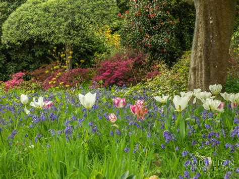 The National Garden Scheme Open Garden Hammerwood House Vantagepoint Magazine