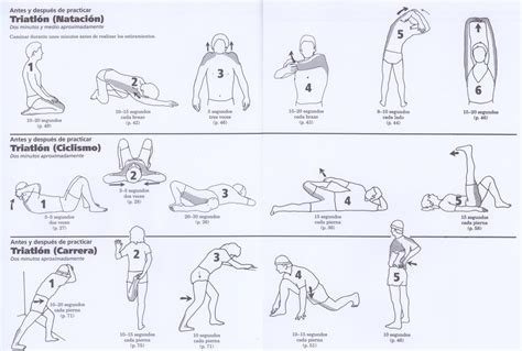 Estiramientos Previos Para Correr Runningvillarejo Es
