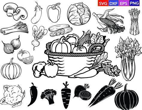 Vegetables Svg Bundlevegetable Svgcabbage Svgvegetable Etsy