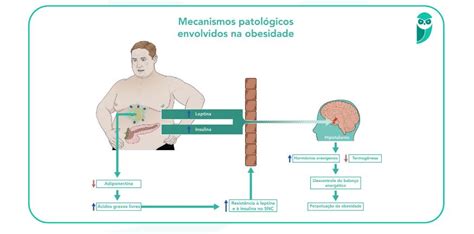 Resumo de Síndrome Metabólica conceito prevalência e mais