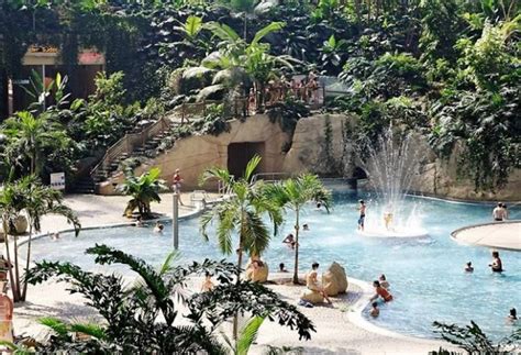 tropical island   dome