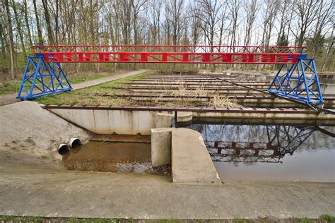 P Natuurgebied Waterloopbos Flevoland Nederland Lychee