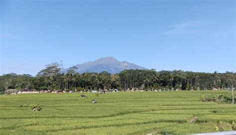 Prakiraan Cuaca Tasikmalaya Dan Sekitarnya Selasa 12 September 2023