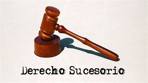 Derecho Sucesorio Derechos Y Obligaciones Transmisibles Importancia