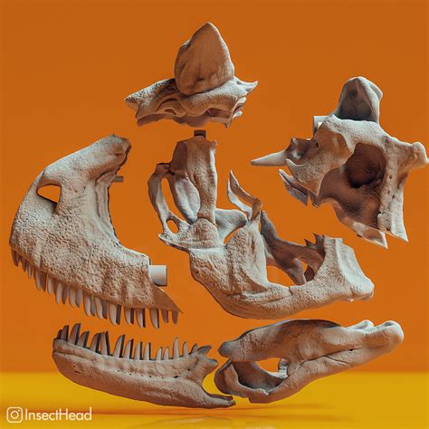 Carnotaurus Skull