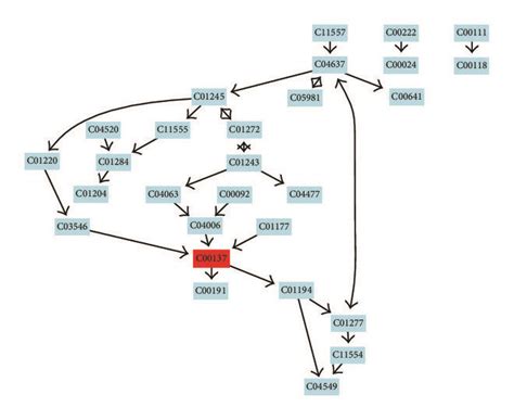 A Beta Alanine Metabolism B Glycerolipid Metabolism C Alanine