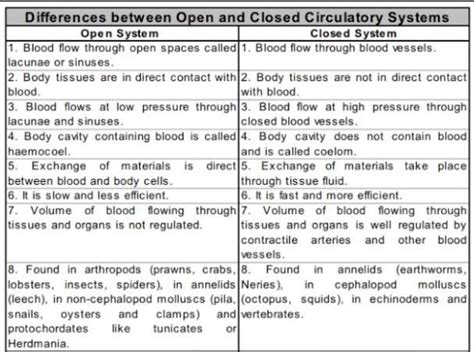 Define Double Circulation And Differentiate Between Closed And Open