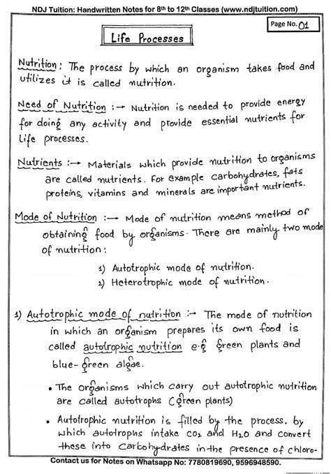 Life Processes Handwritten Notes For Class 10th