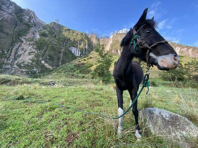 The Real Ninja Girl Leaked Nude Photos And Videos