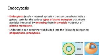 Endocytosis.pptx