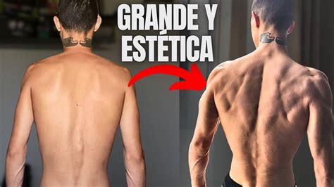 Los 3 Mejores Ejercicios para una Espalda Grande y Estética YouTube