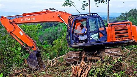 Melibas Hutan Lebat Land Clearing Dengan Excavator Besar Untuk Buka