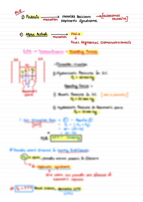 Solution Gfr Measurements Regulation Excretory System Mbbs Physiology