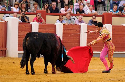 Bullfighting Matador With Muleta And Sword Fighting Bull Impaled With