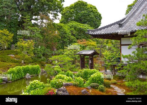 Japan Kyoto The Colorful And Rich Vegetation Of The Garden Of The