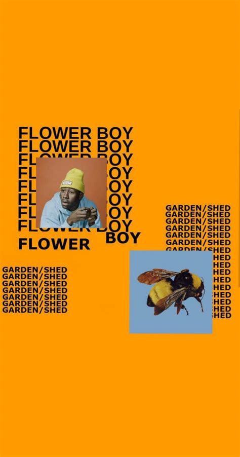 Flower Boy Wallpaper Iphone Xr | Best Flower Site